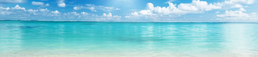 �y���~�h�Ёz��C�g���t����n�k�̔���